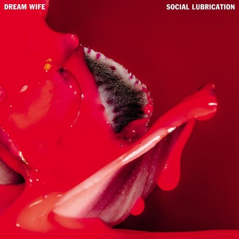Dream Wife: Social Lubrication, CD