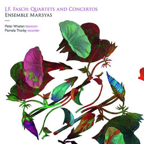 Johann Friedrich Fasch (1688-1758): Quartette &amp; Konzerte, CD
