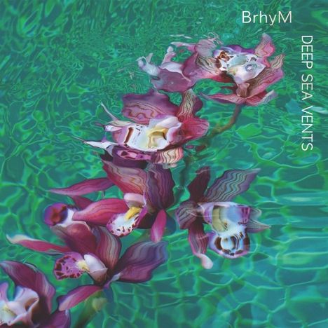 BrhyM: Deep Sea Vents, CD