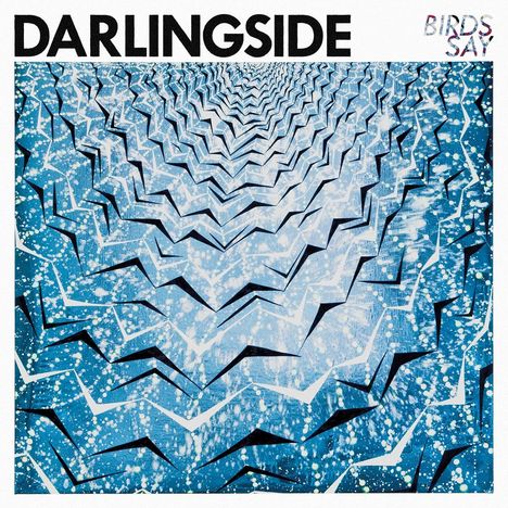 Darlingside: Birds Say, CD