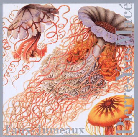 Pierre-Yves Macé & Sylvain Chaveau: Faux-Jumeaux, CD