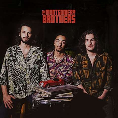 Montgomery Brothers (Wes, Monk &amp; Buddy): Montgomery Brothers, CD