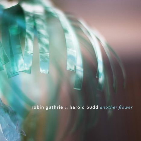 Robin Guthrie &amp; Harold Budd: Another Flower, CD