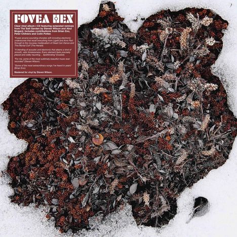 Fovea Hex: The Salt Garden (Landscaped), 1 LP und 1 CD