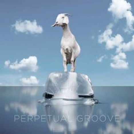 Perpetual Groove: Perpetual Groove, CD