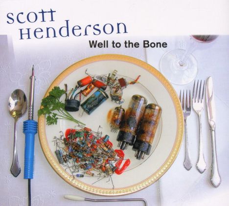 Scott Henderson (geb. 1954): Well To The Bone, CD