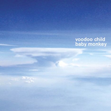 Voodoo Child    (Moby): Baby Monkey, CD