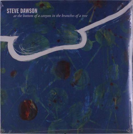 Steve Dawson: At The Bottom Of A Canyon In The Branches Of Tree, LP