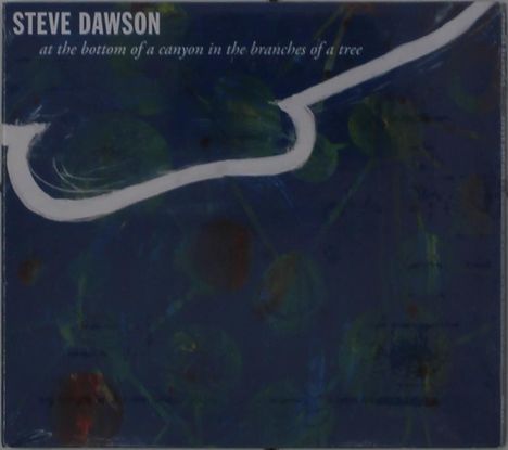 Steve Dawson: At The Bottom Of A Canyon In The Branches Of Tree, CD