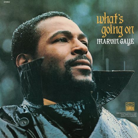 Marvin Gaye: What's Going On (remastered) (180g), LP