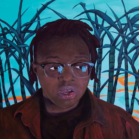 Person mit Brille vor tropischem Hintergrund. Dargestellt in einem stilvollen, farbenfrohen Gemälde.