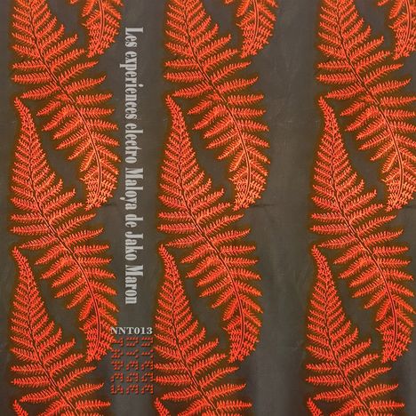 Jako Maron: The Electro Maloya Experiments Of Jako Maron (Limited Edition), 2 LPs
