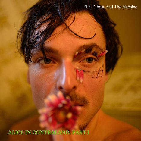 Cover/Produkt Ansicht vergrößern