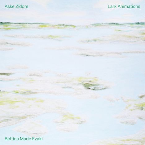 Aske Zidore (geb. 1984): Lark Animations (180g), LP