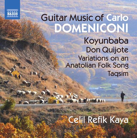 Carlo Domeniconi (geb. 1947): Gitarrenwerke, CD