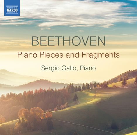 Ludwig van Beethoven (1770-1827): Klavierstücke &amp; Fragmente (Skizzen,Miniaturen,Kadenzen,Transkriptionen,Arrangements), CD