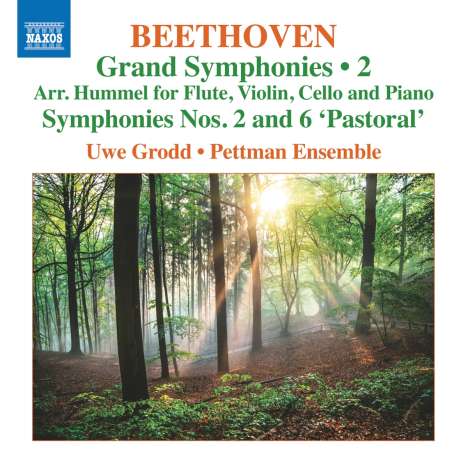 Ludwig van Beethoven (1770-1827): Symphonien Vol.2 (arr. für Flöte &amp; Klaviertrio), CD