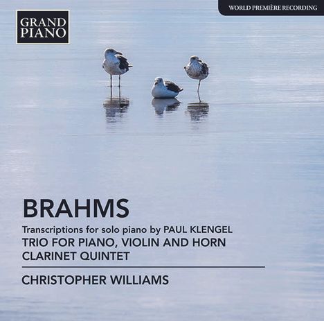 Johannes Brahms (1833-1897): Transkriptionen für Klavier, CD