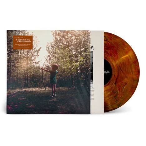 Josh Ritter: I Believe in You, My Honeydew (Root Beer Vinyl), LP