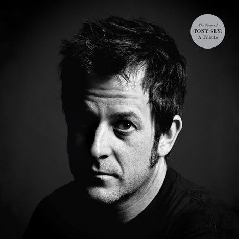 The Songs Of Tony Sly: A Tribute (Limited Edition) (Clear Vinyl), 2 LPs