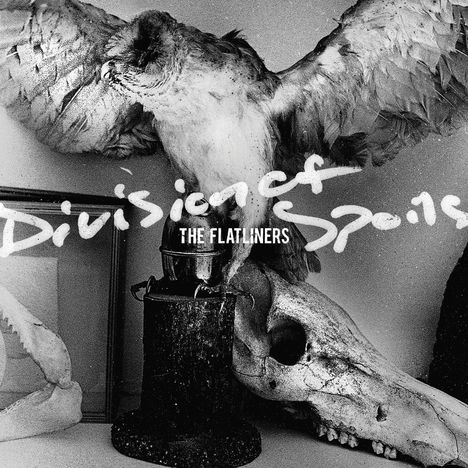 The Flatliners: Division Of Spoils, 2 LPs