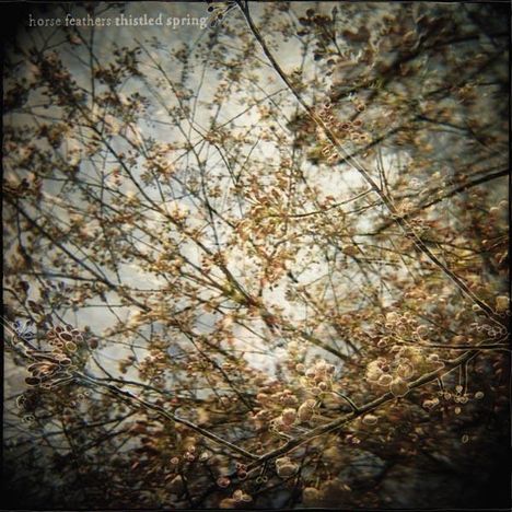 Horse Feathers: Thistled Spring, LP