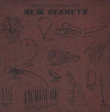 Dennis Callaci &amp; Simon Joyner: New Secrets, LP