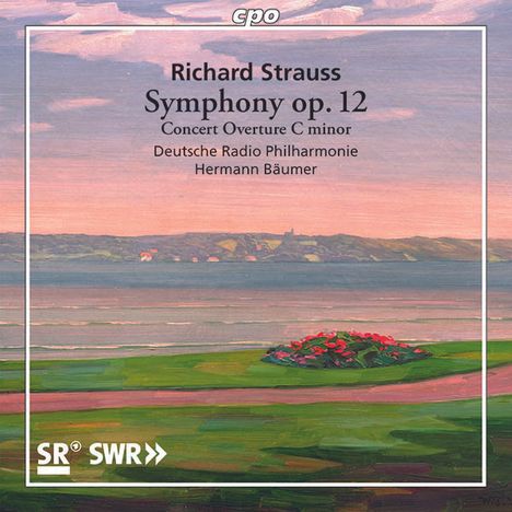 Richard Strauss (1864-1949): Symphonie f-moll op.12 (1884), CD