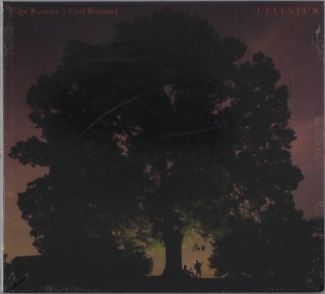 Text oben: "Joan Shelley | Nathan Salsburg", "CELESTUN". Silhouette eines Baumes bei Sonnenuntergang mit Personen darunter.