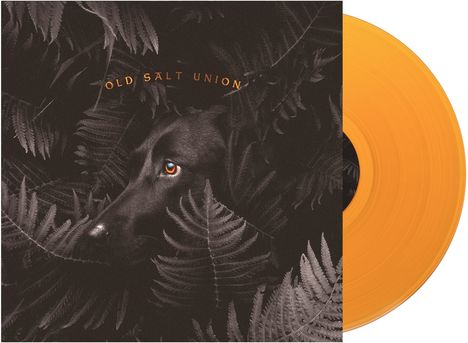 Old Salt Union: Where The Dogs Don't Bite (Limited Edition) (Orange Vinyl), LP