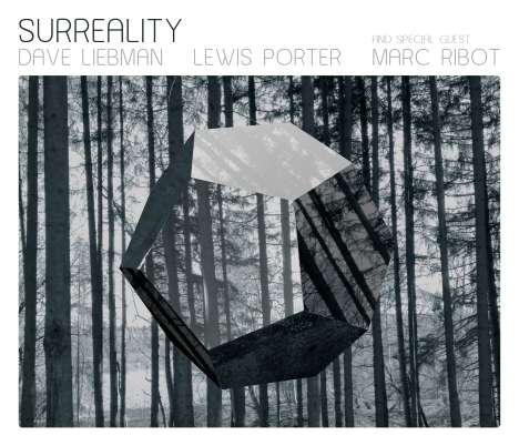 Dave Liebman &amp; Lewis Porter: Surreality, CD