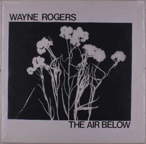 Wayne Rogers: The Air Below, LP