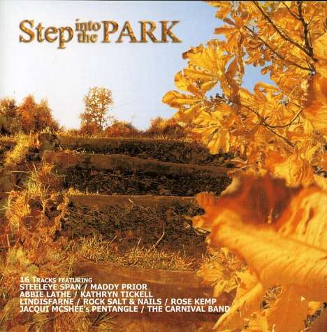 Step Into The Park / Va: Step Into The Park / Various (, CD