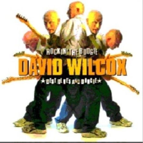 David Wilcox: Rockin' The Boogie - Best Of Blues.., CD