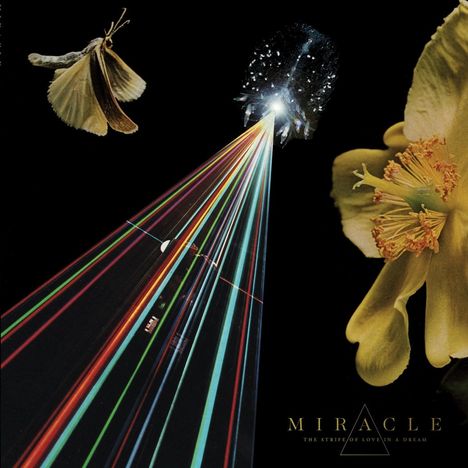 Miracle: The Strife Of Love In A Dream, LP