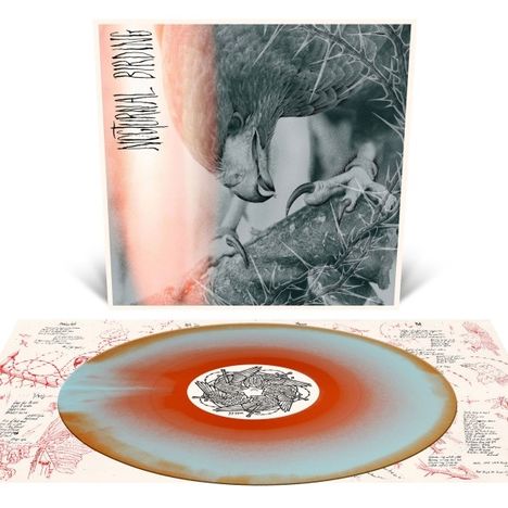 Author & Punisher: Nocturnal Birding, LP