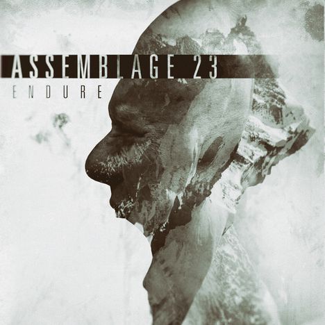 Assemblage 23: Endure, CD