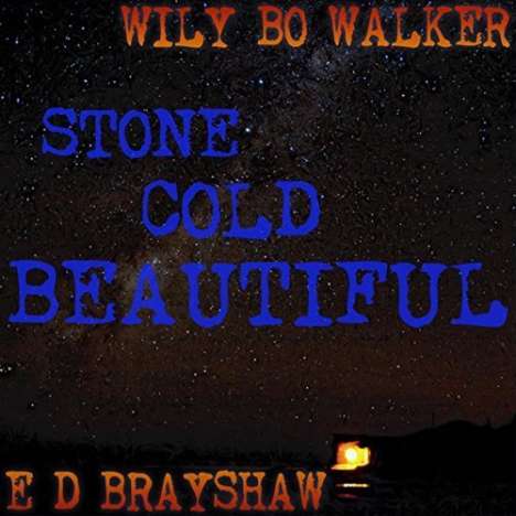 Wily Bo Walker: Stone Cold Beautiful, CD