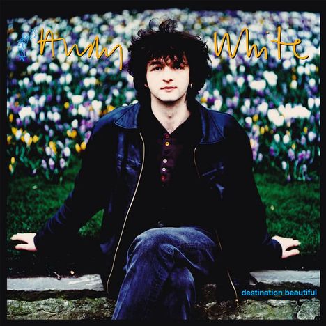 "Andy White" in gelber Schrift, darunter "destination beautiful" in Blau. Ein Mann sitzt vor einem Blumenfeld.