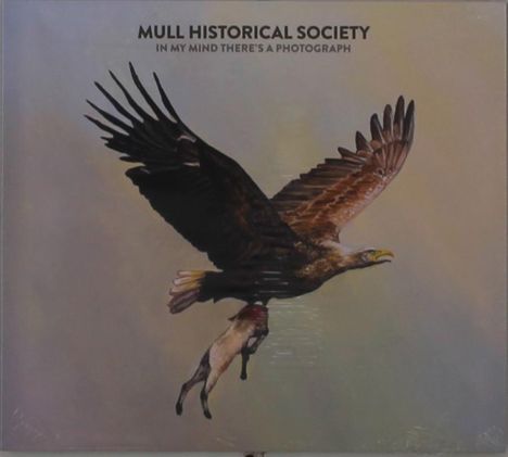"Mull Historical Society, In My Mind There's a Photograph". Ein Adler trägt ein Tier in seinen Krallen am Himmel.
