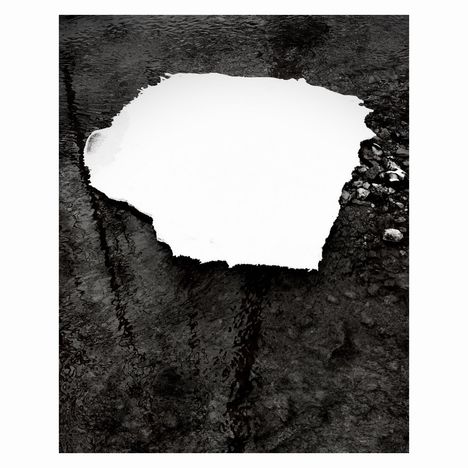 Kein Text. Ein zerrissenes Blatt schwimmt im Wasser, umgeben von Steinen und Rinnsalen.