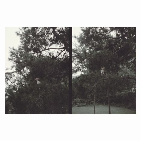 Okkyung Lee (geb. 1975): Just Like Any Other Day, LP