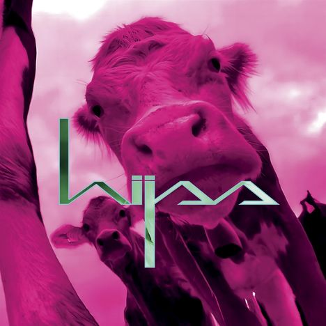 Der Text "hijas" in grün. Eine Kuh schaut in Nahaufnahme neugierig in die Kamera, umgeben von einem rosa Himmel.
