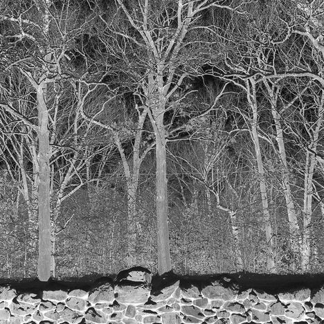 Pile: Sunshine and Balance Beams, CD