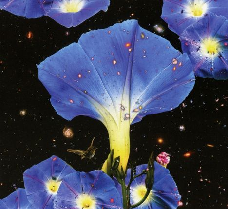 Sarah Louise: Nighttime Birds And Morning Stars, CD