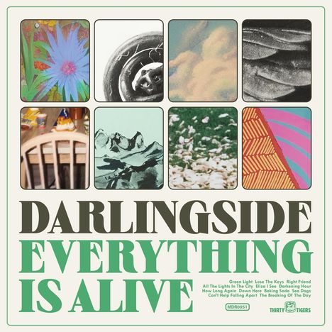 Darlingside: Everything Is Alive, LP