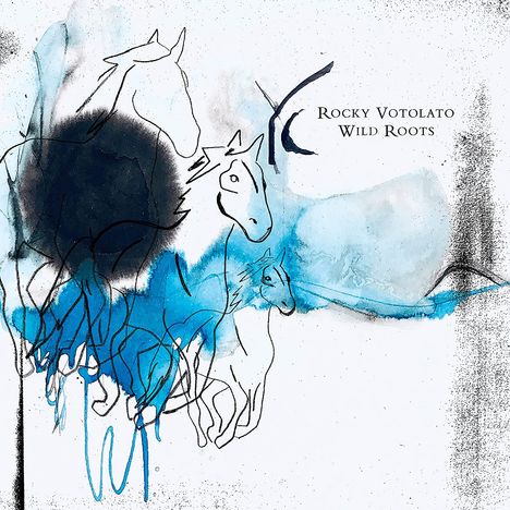 Rocky Votolato: Wild Roots, CD