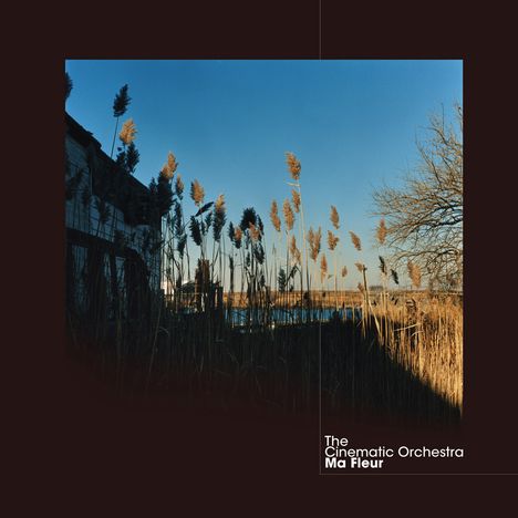 The Cinematic Orchestra: Ma Fleur, 2 LPs