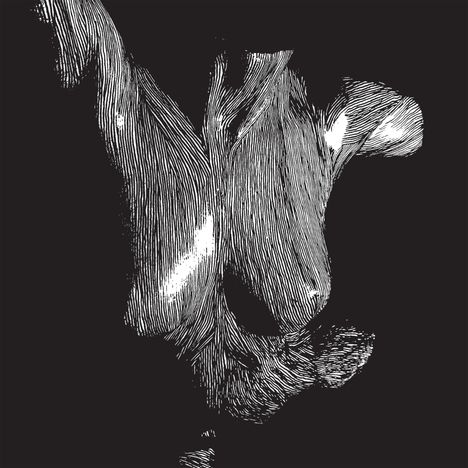 Es sind keine Texte sichtbar. 
Schwarz-weiße Illustration von abstrakten, geschwungenen Linien.