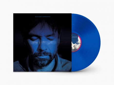 Bruce Soord (The Pineapple Thief): Luminescence (Limited Edition) (Blue Vinyl), LP